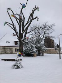 Schilderbaum neben Kriegerdenkmal